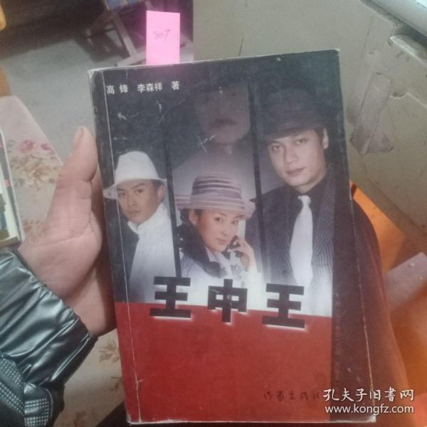 王中王資料一肖中天，深度解析與探索，王中王資料一肖中天，深度剖析與探索