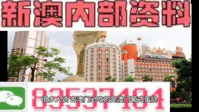 新澳門三中三碼精準(zhǔn)預(yù)測，揭秘成功概率背后的秘密與策略（附詳細(xì)解析），揭秘新澳門三中三碼成功預(yù)測背后的秘密與策略解析
