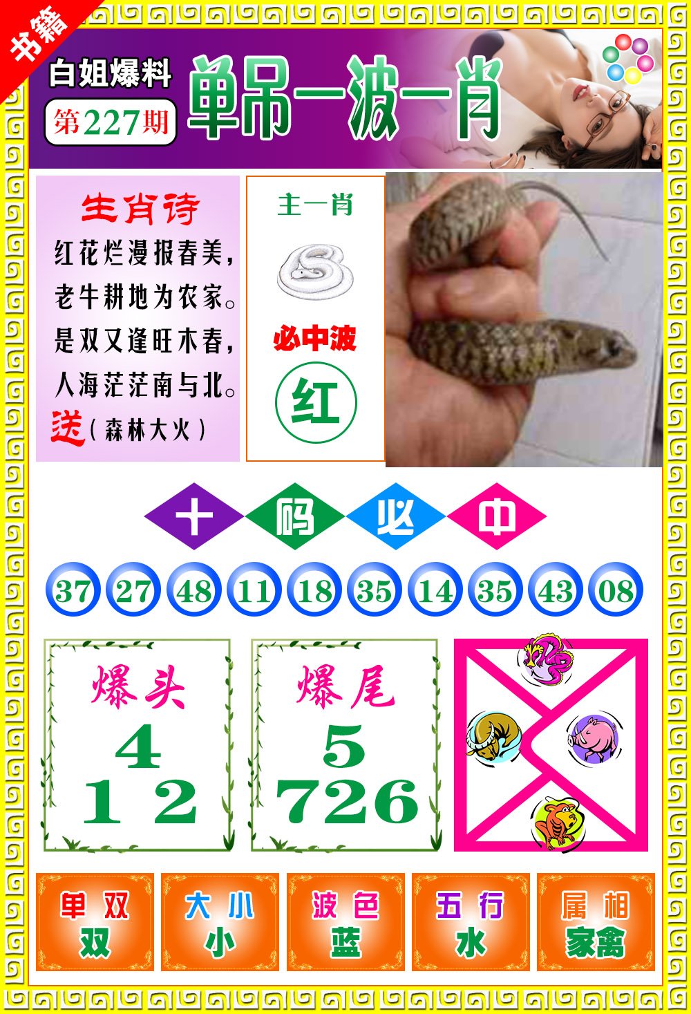 王中王免費開獎一肖結(jié)果，揭秘彩票背后的秘密，揭秘王中王彩票開獎內(nèi)幕，一肖結(jié)果背后的秘密揭曉