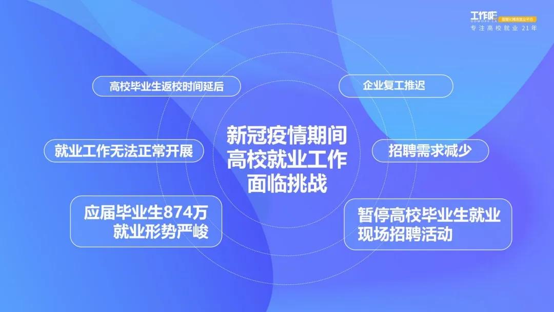 新澳門最精準——探索澳門的精準旅游魅力，澳門精準旅游魅力探索之旅