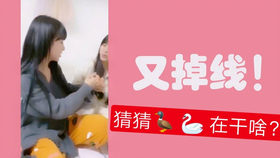王中王欲錢詩猜一肖，王中王欲錢詩暗示的生肖之謎