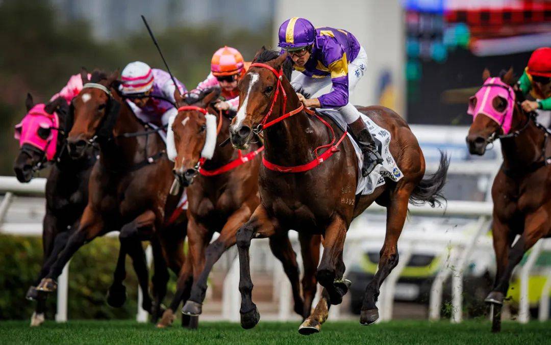 香港賽馬，探索賽馬運(yùn)動(dòng)的激情與榮耀之地——7777788888的獨(dú)特魅力，香港賽馬，激情與榮耀的獨(dú)特魅力探索——777778賽馬運(yùn)動(dòng)之地