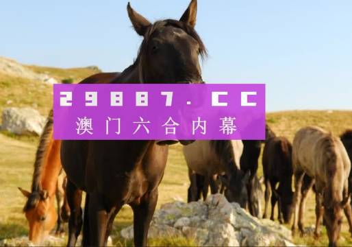 澳門管家婆一肖一碼一中一，揭秘與解析，澳門管家婆一肖一碼揭秘與解析