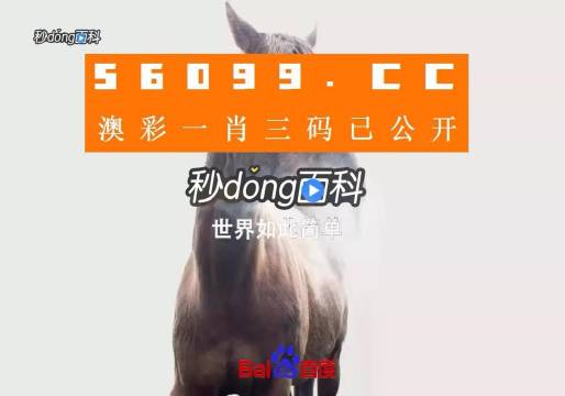 香港內(nèi)部公開(kāi)資料一碼，深度解析與探索，香港內(nèi)部公開(kāi)資料一碼深度解析與探索揭秘