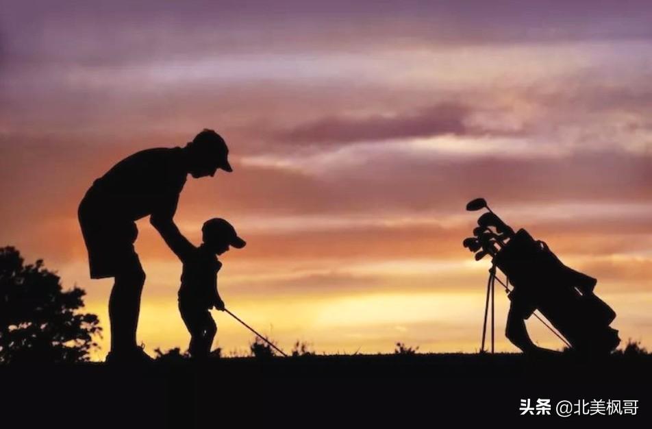 森林高手王中王與神秘生肖——深度解讀背后的故事與秘密，森林高手王中王與神秘生肖，故事背后的深度解讀與秘密探尋