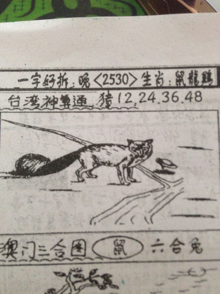 揭秘生肖奧秘，看圖猜一生肖劉伯溫的傳奇故事，揭秘生肖奧秘，劉伯溫傳奇故事中的生肖之謎探索