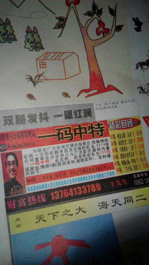 欲錢詩猜一肖——探尋王中王的奧秘，探尋王中王的奧秘，欲錢詩猜一肖