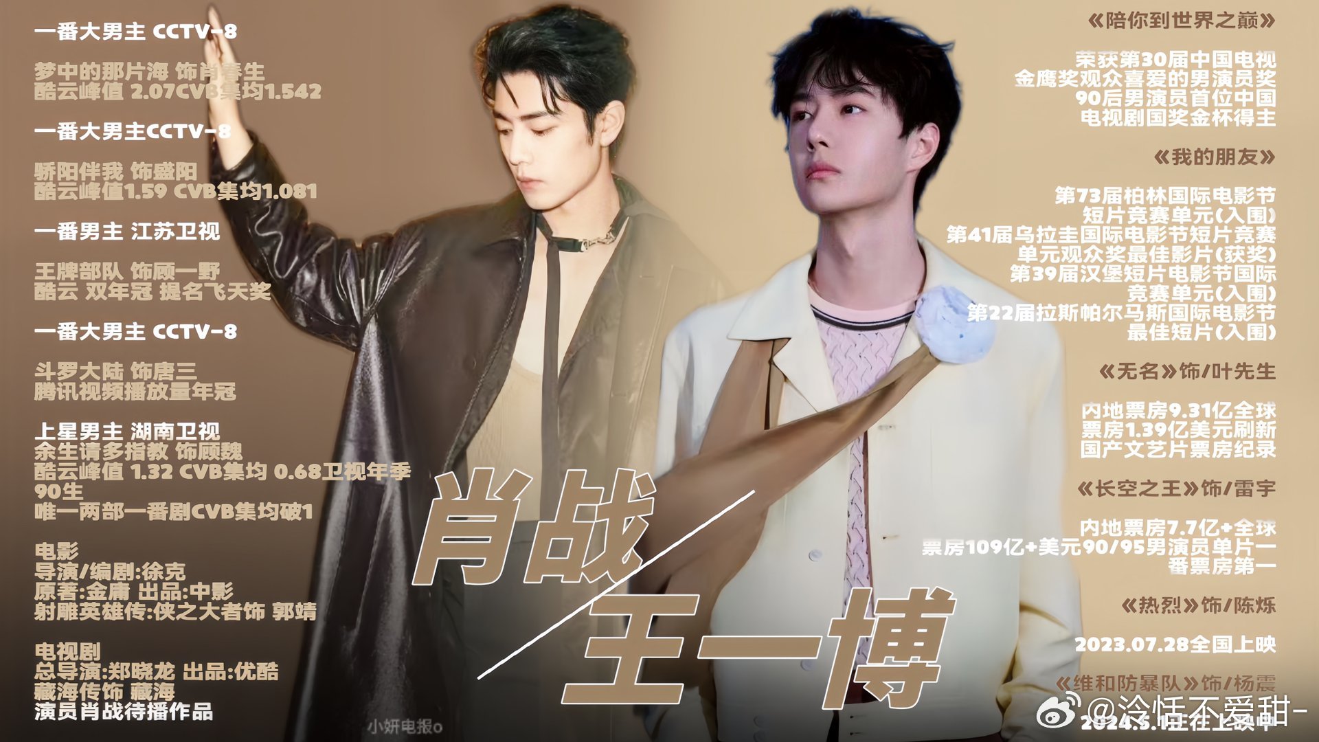 王中王一肖中特全年資料解析與SEO優(yōu)化策略，王中王一肖中特全年資料解析與SEO策略詳解