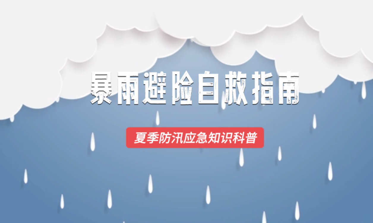 澳門六2023開獎結果詳解及預測分析，澳門六開獎結果詳解與預測分析（2023年）