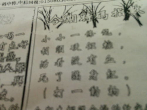 揭秘劉伯溫的一肖一特，探尋神秘傳奇背后的真相，劉伯溫傳奇揭秘，揭秘生肖之謎與獨(dú)特特質(zhì)背后的真相