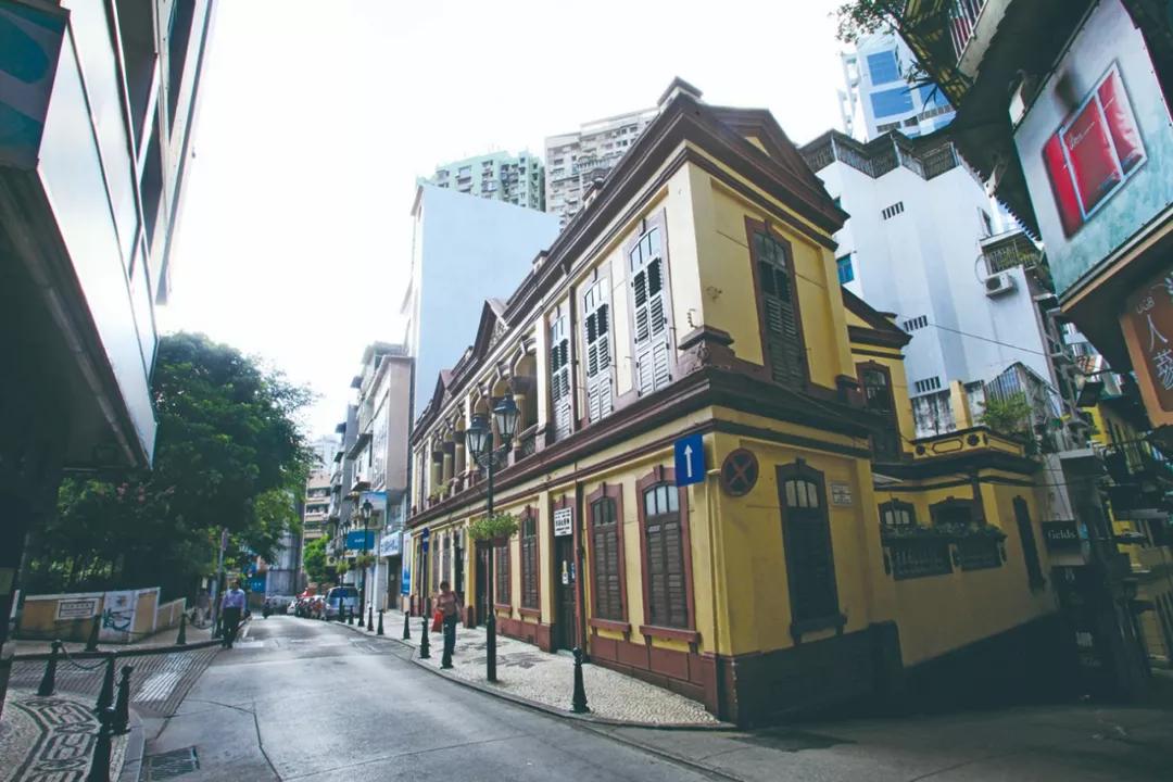 澳門(mén)今晚必開(kāi)一肖，揭秘生肖運(yùn)勢(shì)與預(yù)測(cè)邏輯，澳門(mén)今晚生肖預(yù)測(cè)揭秘，生肖運(yùn)勢(shì)與預(yù)測(cè)邏輯分析