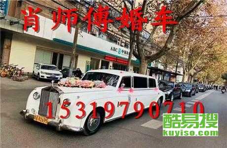 王中王車奪平特一肖免費——深度解析與探索，王中王車奪平特一肖，深度解析與免費探索