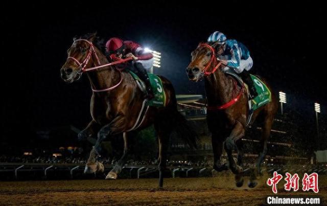 香港王中王一肖中特馬，探索背后的奧秘，香港王中王一肖中特馬背后的奧秘探索