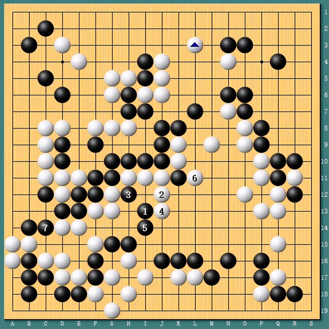王中王四肖一碼資料論壇，探索與解析，王中王四肖一碼資料論壇，深度探索與解析