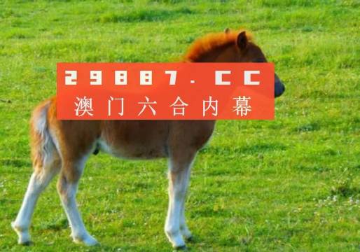 新奧門(mén)一肖一馬平特大全，揭秘?zé)衢T(mén)關(guān)鍵詞背后的故事，揭秘新澳門(mén)熱門(mén)關(guān)鍵詞背后的故事，一肖一馬平特大全