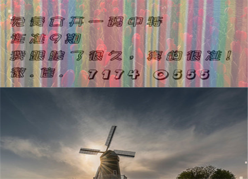 王中王四肖三期必出一期，揭秘彩票背后的秘密策略與技巧，揭秘彩票策略與技巧，王中王四肖三期必出一期之道