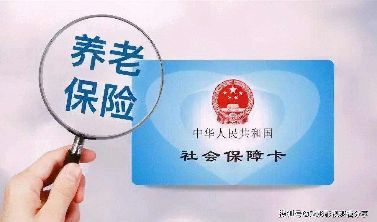 揭秘王中王一期一肖特中獎背后的秘密，王中王一期一肖特中獎背后的秘密揭秘