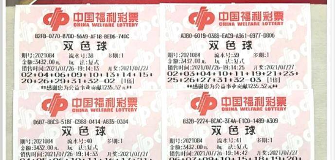 王中王084期指一生肖，解讀背后的秘密與生肖運(yùn)勢(shì)分析，王中王084期生肖揭秘，秘密解讀與運(yùn)勢(shì)展望