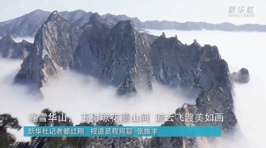 澳門最精準龍門，探索真正的精準之道，澳門最精準龍門，揭秘真正的精準之道