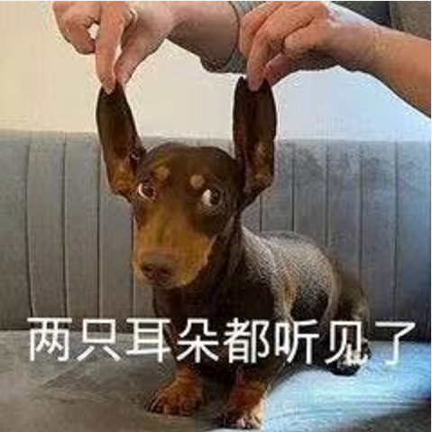 王中王四不象必中一肖，揭秘背后的秘密與策略，揭秘王中王四不象必中一肖背后的秘密與策略之道
