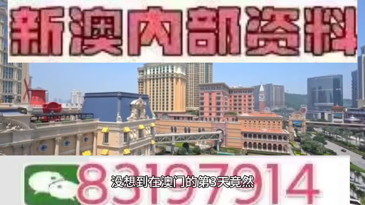 新澳門今晚必開一肖一特，探索生肖與特碼的魅力，澳門生肖特碼探索，今晚必開一肖一特之魅力
