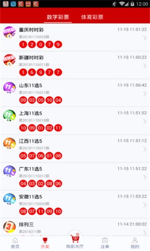 一碼一肖，揭秘背后的秘密與探索其獨(dú)特魅力，揭秘一碼一肖背后的秘密與獨(dú)特魅力探索