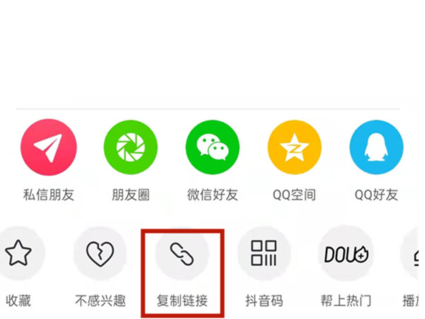 白小姐王中王中特一肖，神秘傳奇與SEO探索，神秘傳奇與SEO探索，白小姐王中王中特一肖的奧秘