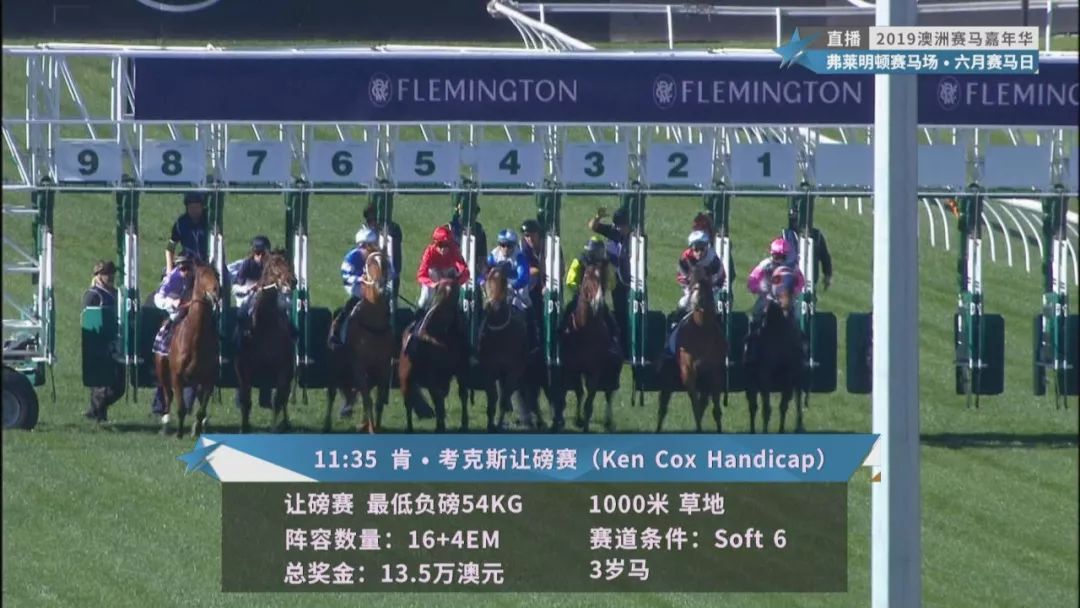 賽馬澳門六月開獎結果，探索與期待，澳門六月賽馬開獎揭曉，探索結果引期待