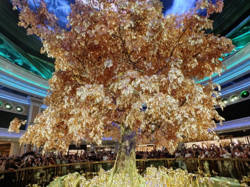 澳門搖錢樹開獎(jiǎng)最快——探索彩票世界的神秘魅力，澳門搖錢樹彩票開獎(jiǎng)揭秘，探索神秘彩票世界的魅力