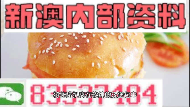 2025新澳正版資料精準(zhǔn)解析，2025新澳正版資料精準(zhǔn)解析手冊