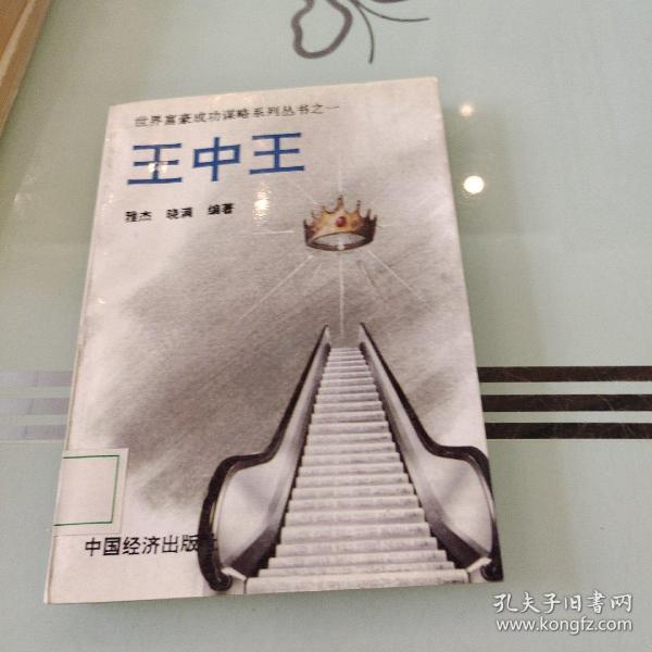 王中王的資料一肖中，深度解析與探索，王中王資料解析，一肖中的深度探索