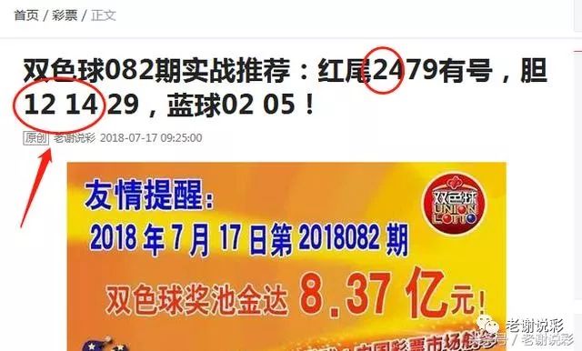 王中王082期指一生肖——探尋生肖魅力，洞悉運勢奧秘，探尋生肖魅力，揭秘運勢奧秘——王中王生肖運勢解析 082期