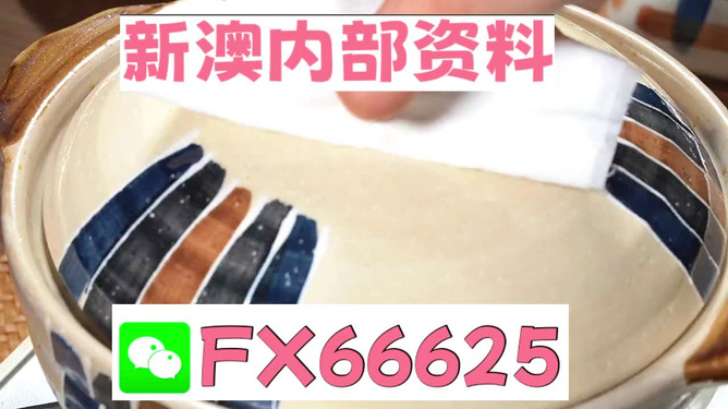 新澳精準資料免費提供，探索與實踐的指南，新澳精準資料免費分享，探索與實踐的導(dǎo)航指南