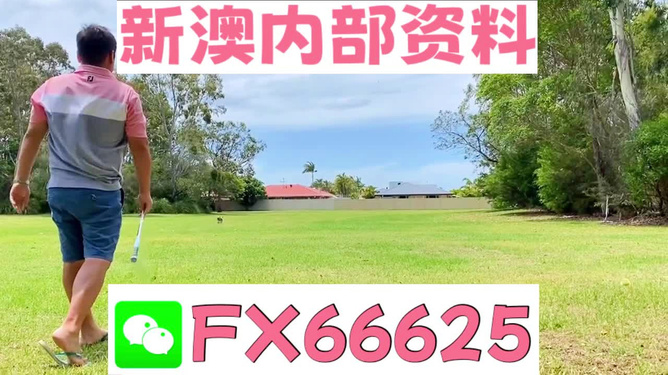 王中王一碼二肖，揭秘背后的秘密，揭秘王中王一碼二肖背后的秘密