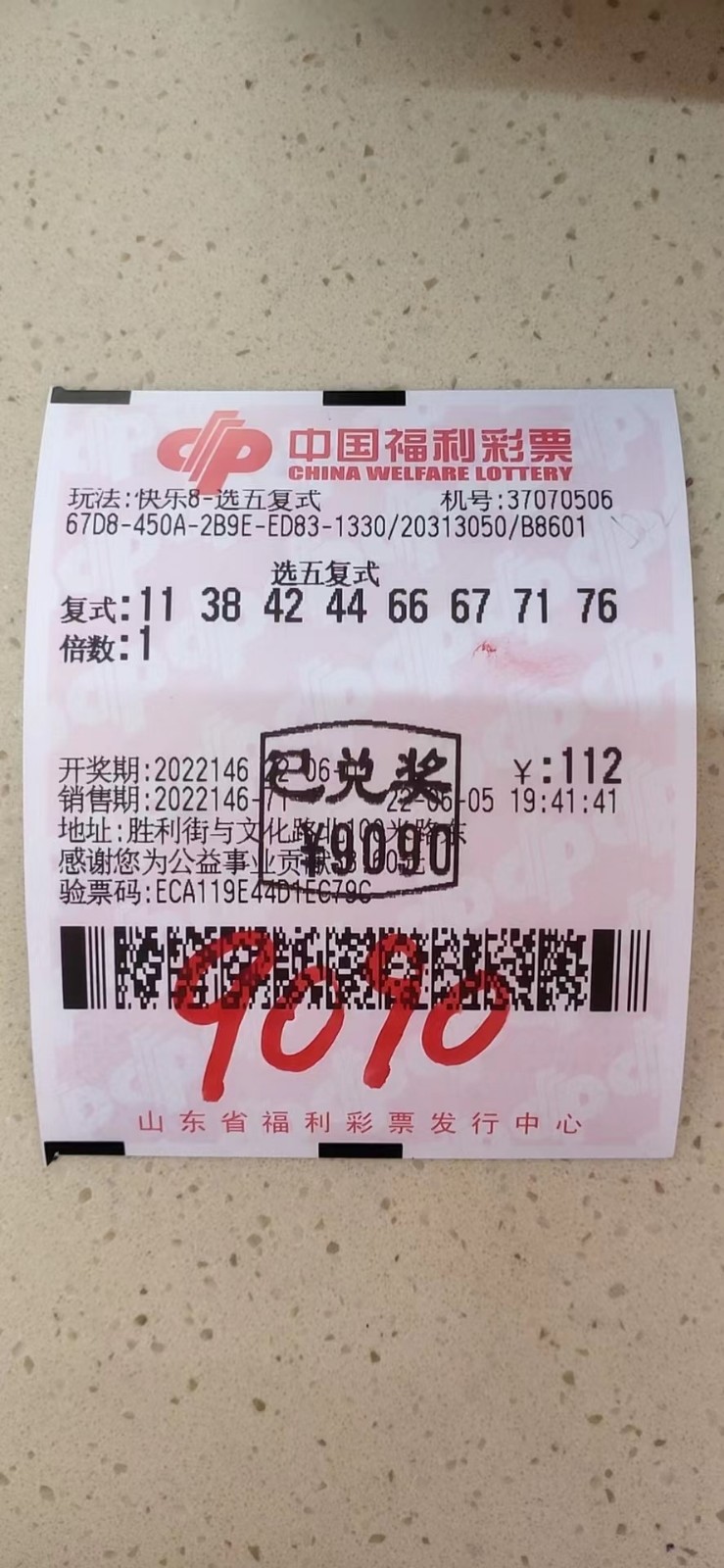 揭秘002期王中王平特一肖，背后的故事與奧秘，揭秘王中王平特一肖背后的故事與奧秘（第002期）