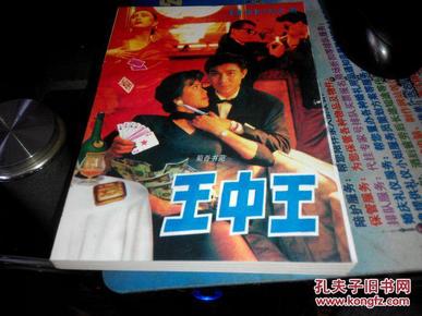 王中王資料一肖中特小說，深度解析與探索，王中王資料一肖中特小說的深度解析與探索之旅