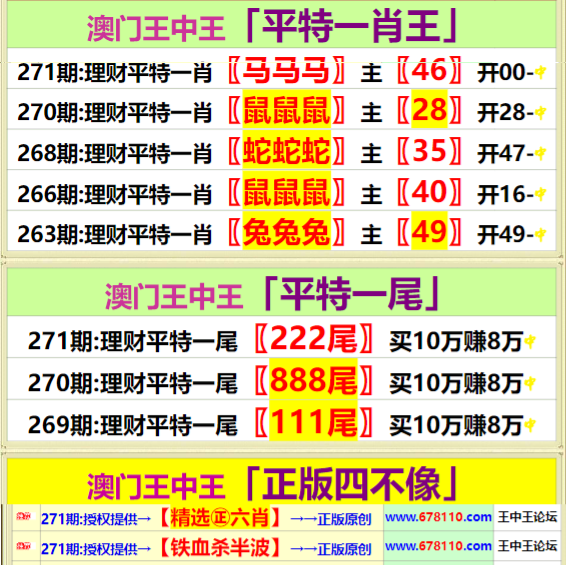 王中王四肖中特一期期誰，深度解析與探索，王中王四肖中特一期深度解析與探索
