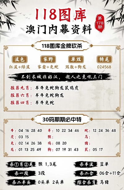新澳新澳門正版資料，探索與解析，新澳新澳門正版資料深度解析與探索
