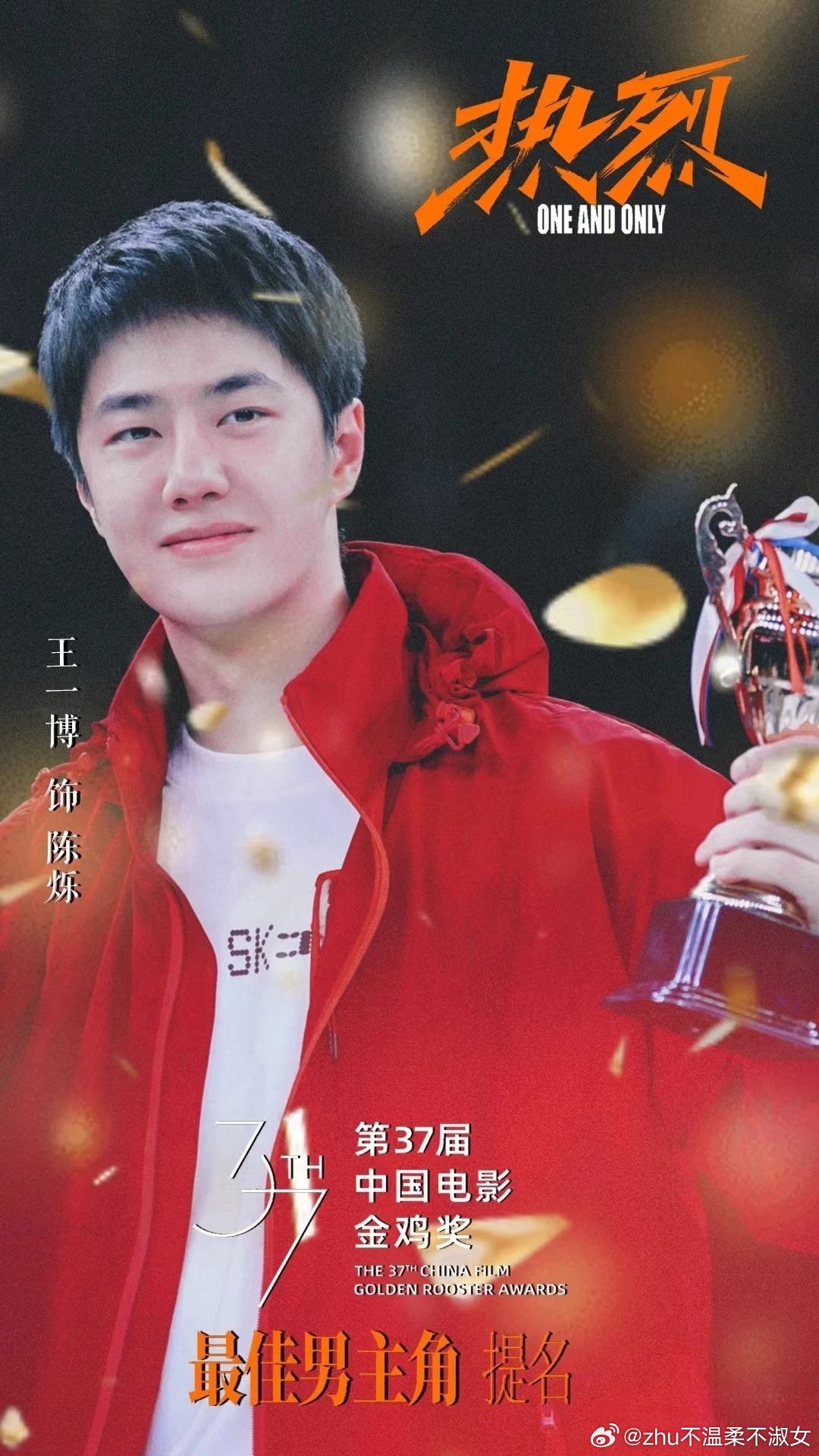 王中王一肖一特一中一中，探尋背后的故事與奧秘，探尋王中王一肖背后的故事與奧秘