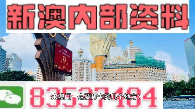 新澳門內部免費資料精準大全——探索澳門資訊的寶庫，澳門資訊寶庫，新澳門內部免費資料精準大全