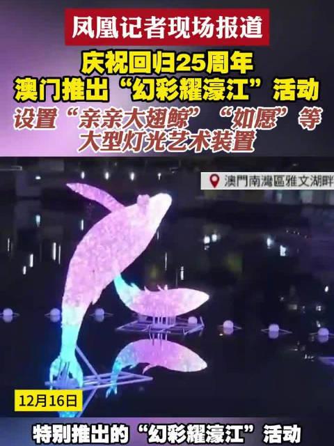 新澳門六開獎(jiǎng)結(jié)果查詢濠江論壇——快速獲取開獎(jiǎng)信息的首選平臺(tái)，澳門六開獎(jiǎng)結(jié)果查詢首選平臺(tái)，濠江論壇快速更新開獎(jiǎng)信息