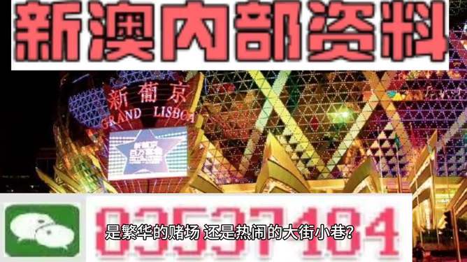 新澳門精準(zhǔn)資料大全管家婆料，探索與解析，澳門精準(zhǔn)資料大全解析，探索管家婆料內(nèi)幕