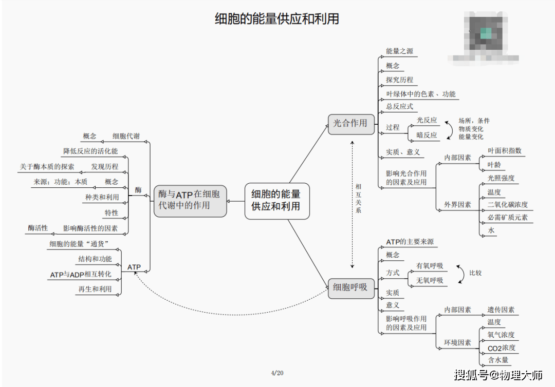 澳門管家婆三期必開一特，揭秘背后的秘密與策略，澳門管家婆三期必開一特揭秘，背后的秘密與策略全解析