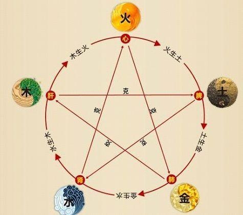 鐵算算盤4887最準資料，揭秘其背后的秘密與優(yōu)勢，揭秘鐵算算盤4887，最準資料背后的秘密與優(yōu)勢