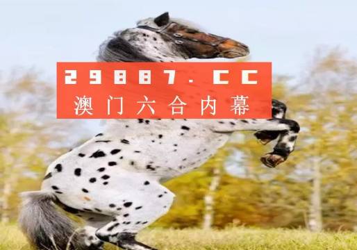 白小姐的精準(zhǔn)免費(fèi)四肖，揭秘背后的秘密，揭秘白小姐精準(zhǔn)免費(fèi)四肖背后的秘密