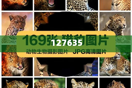 精準(zhǔn)新傳真，揭秘?cái)?shù)字組合7777788888的神秘面紗，揭秘?cái)?shù)字組合7777788888的神秘面紗，精準(zhǔn)新傳真解讀