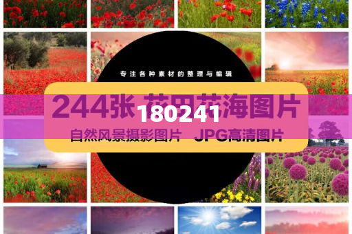 揭秘精準(zhǔn)管家婆狗，77777與88888的神秘面紗，揭秘精準(zhǔn)管家婆狗，神秘?cái)?shù)字77777與88888背后的秘密