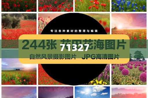 探索777788888管家婆網，一站式解決方案的綜合服務平臺，一站式解決方案的綜合服務平臺，探索777788888管家婆網