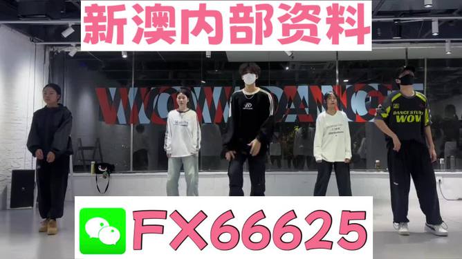 探索未來，2025新澳最新版精準特色解析，探索未來，揭秘新澳最新版精準特色解析（2025版）