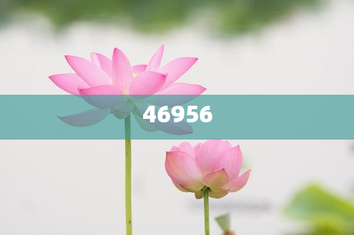 新奧集團(tuán)，邁向2025，天天開好彩的愿景與挑戰(zhàn)，新奧集團(tuán)邁向2025，實(shí)現(xiàn)天天開好彩的愿景與挑戰(zhàn)